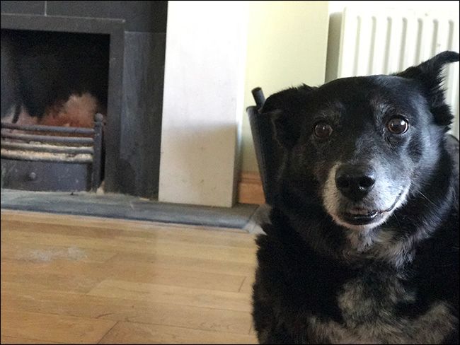 Обычное фото без эффекта глубины