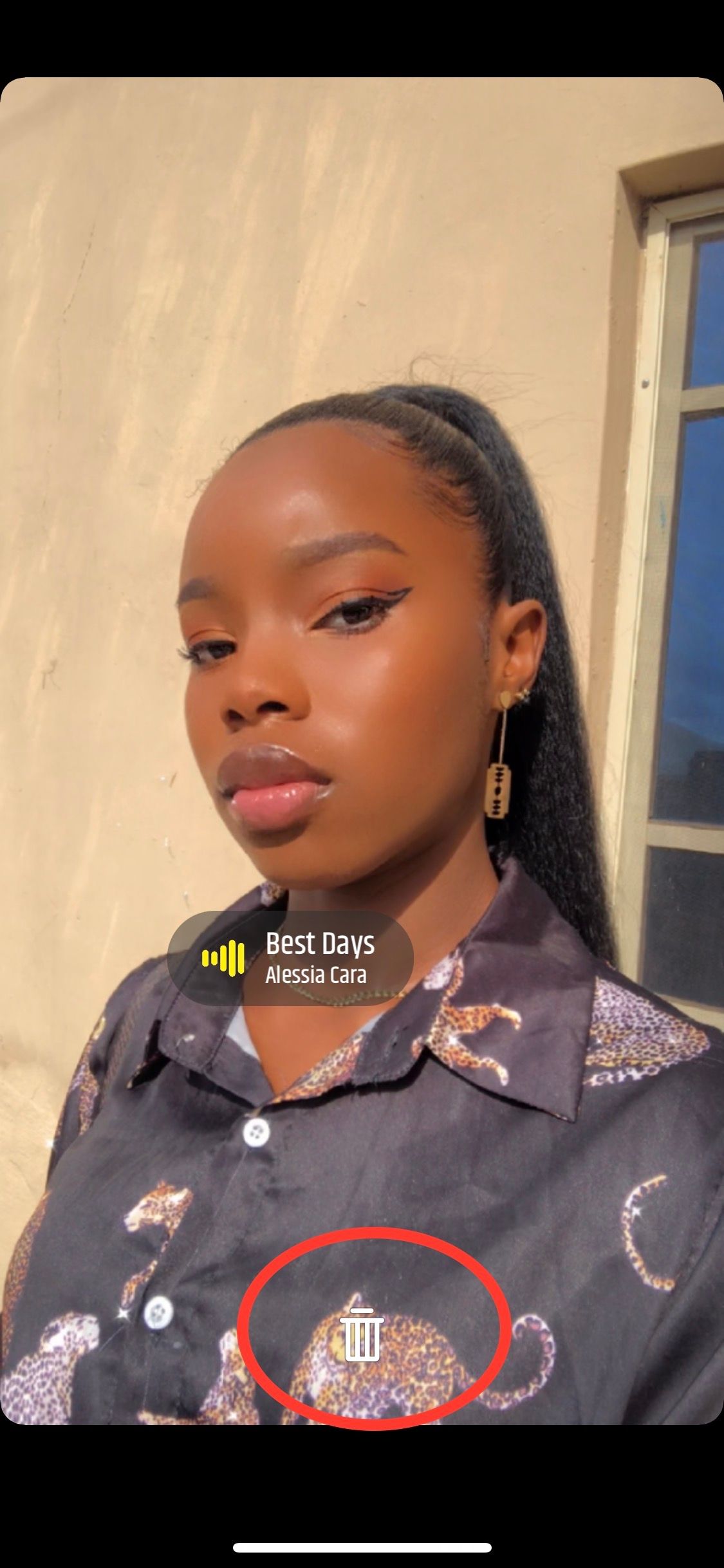 Удаление музыки из Snap через корзину