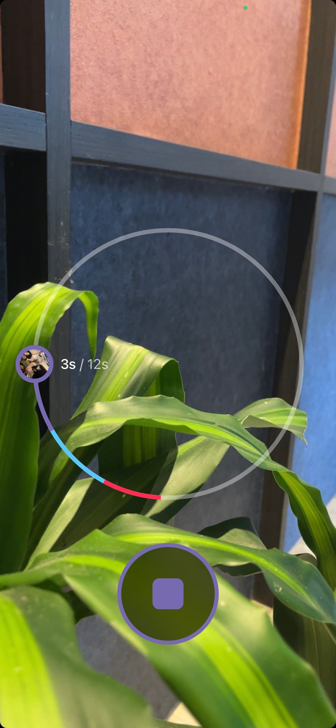 пауза и запись видео в Spark Camera