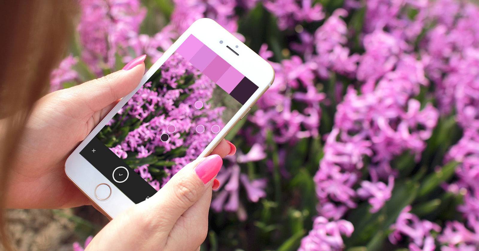 Обложка: интерфейс Adobe Capture на смартфоне