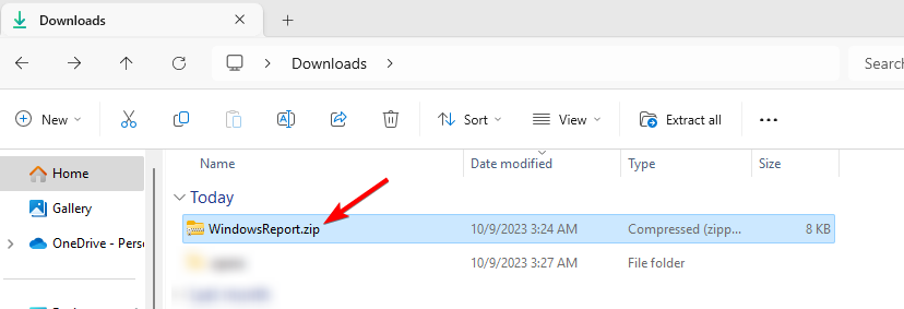 Открытый ZIP в Проводнике