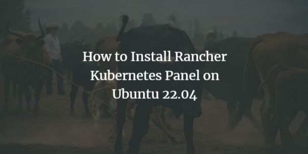 Установка Rancher на Ubuntu 22.04