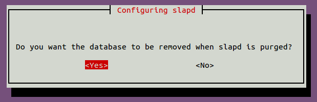 Подтверждение удаления базы данных при конфигурации slapd