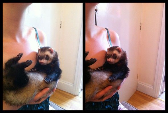 Готовая стерео‑картинка, созданная в мобильном приложении