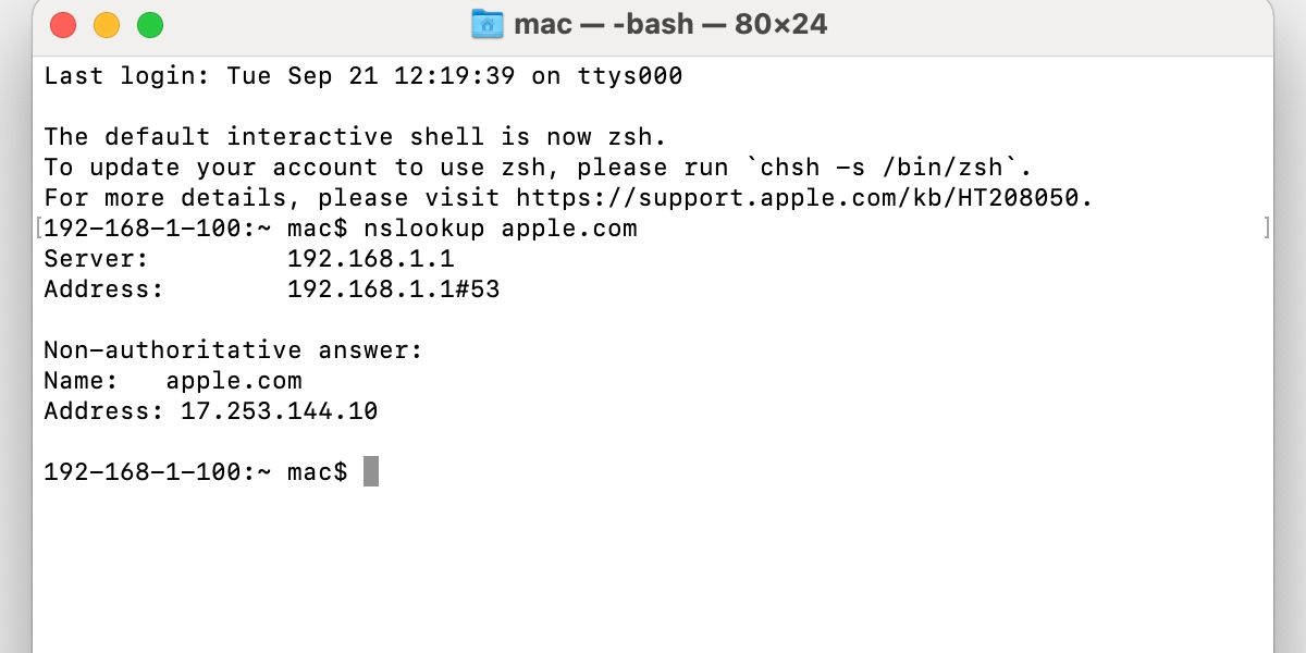 Окно Terminal с завершённой командой nslookup.