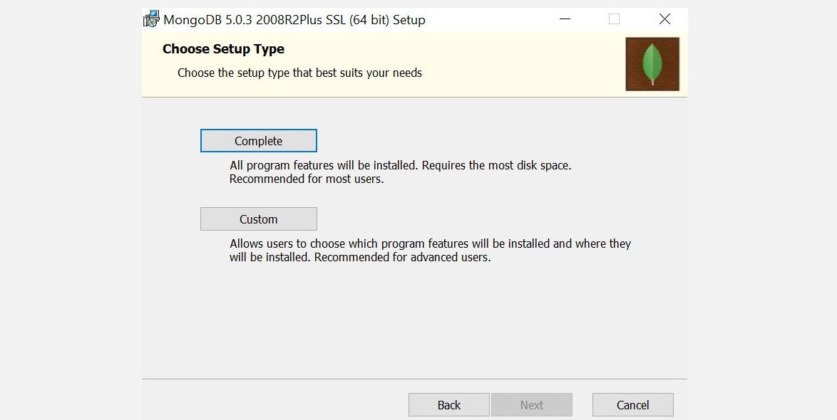 Выбор Complete или Custom в установщике MongoDB