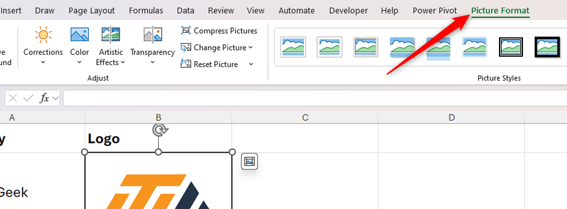 Guia Picture Format exibida na faixa do Excel.
