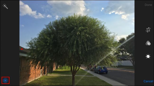 Индикация выключенного Live Photo перед сохранением