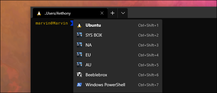 SSH-профиль в Windows Terminal через WSL