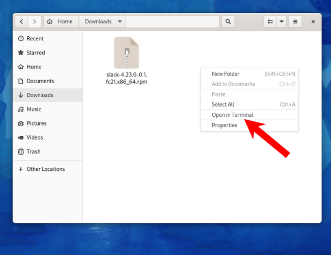Открыть папку с загруженным RPM в терминале Fedora