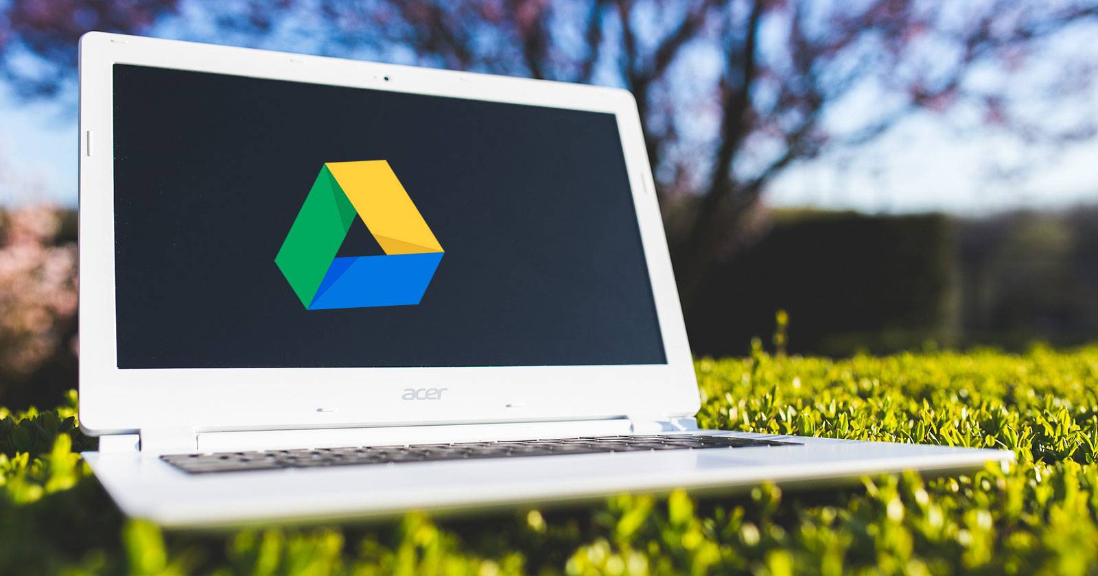 Логотип Google Drive на ноутбуке в траве