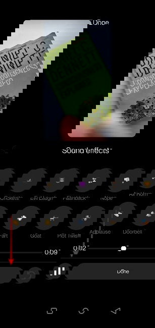 Instagram Reels Voice Select Location Audio Effet