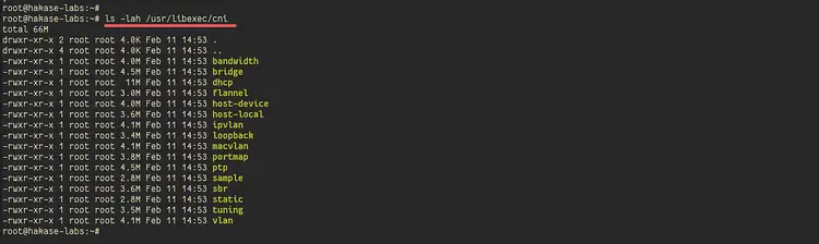 Список CNI плагинов в /usr/libexec/cni