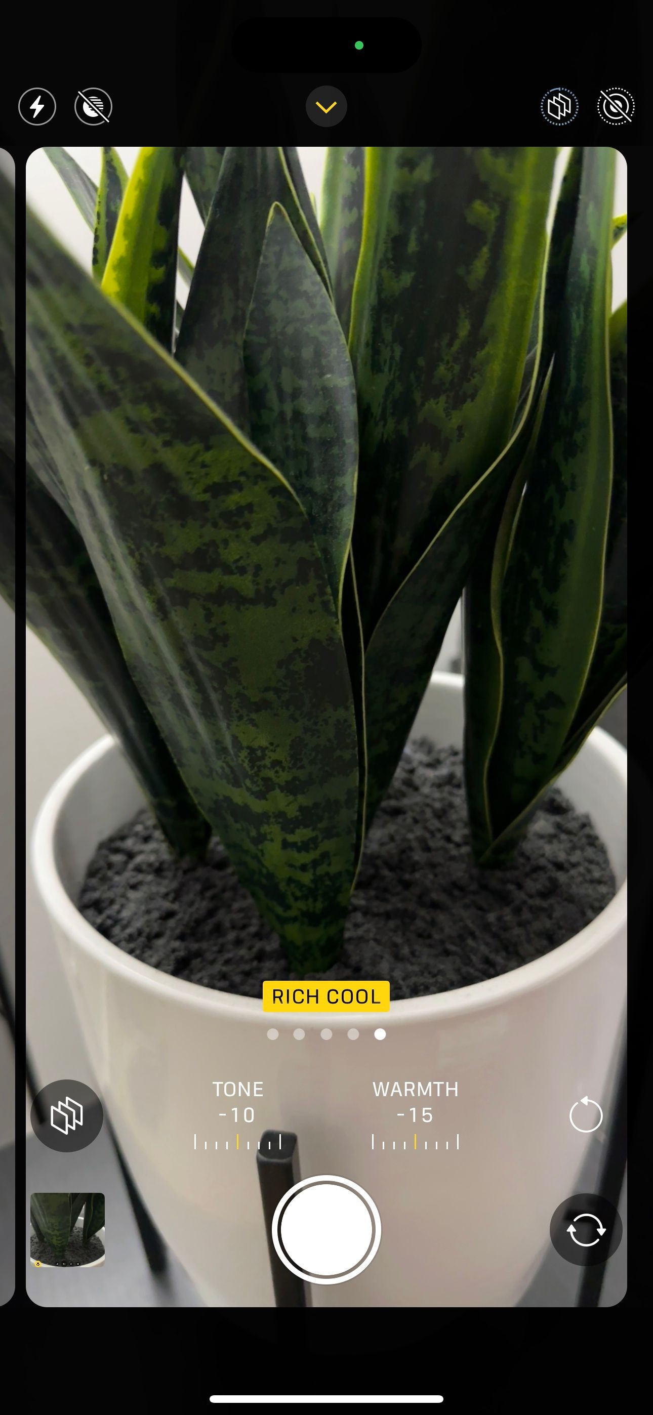 Опции фотографических стилей в Камере iPhone: Rich Cool