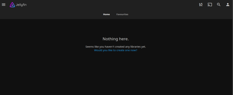 Панель управления Jellyfin