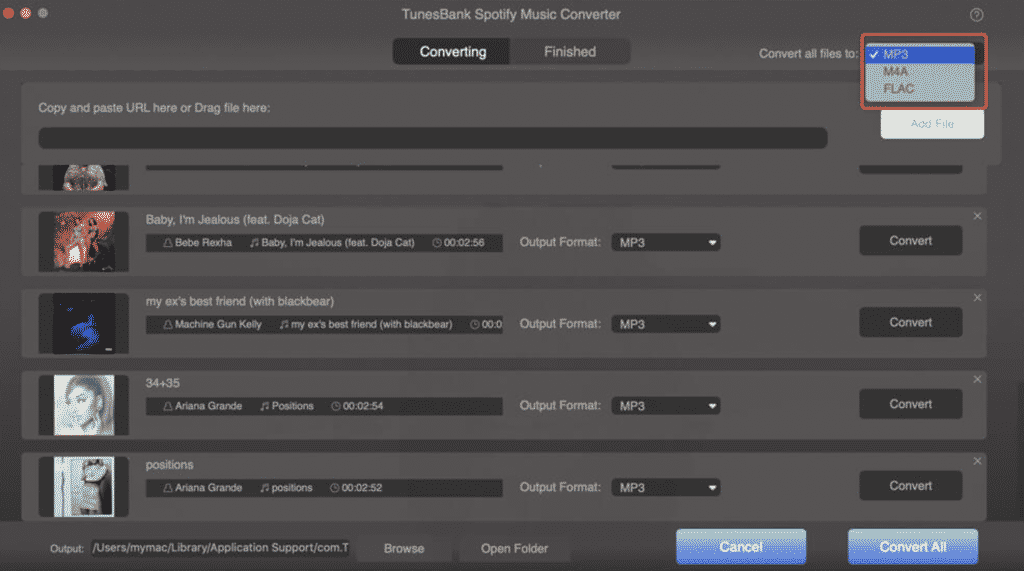 Выбор MP3 и настроек вывода в TunesBank Spotify Converter