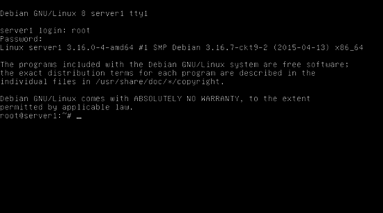 Текстовый приглашение логина в консоли после загрузки