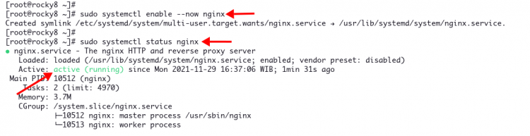 Настройка Nginx для Grafana