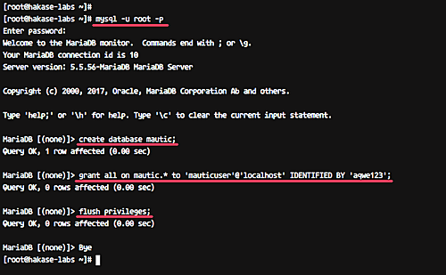 Создание базы данных mautic в MariaDB
