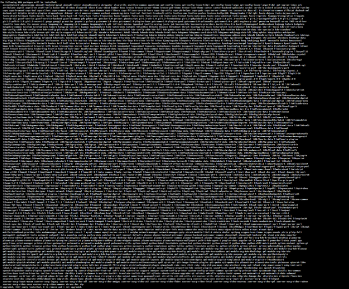 Снимок процесса установки пакетов на Ubuntu