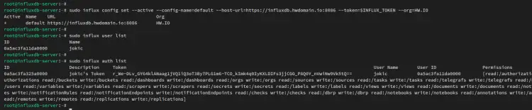 Настройка профиля Influx CLI
