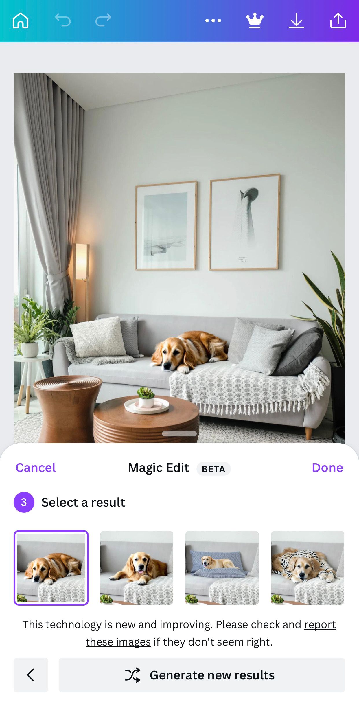 Золотистый ретривер лежит на сером диване