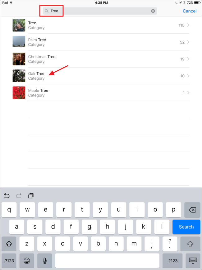 Список подсказок при вводе запроса: примеры категорий