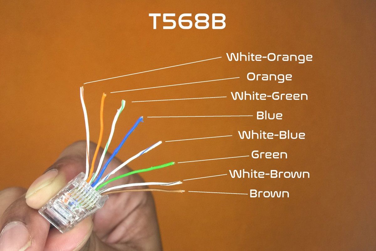 The eight unwound wires of an Ethernet CAT cable