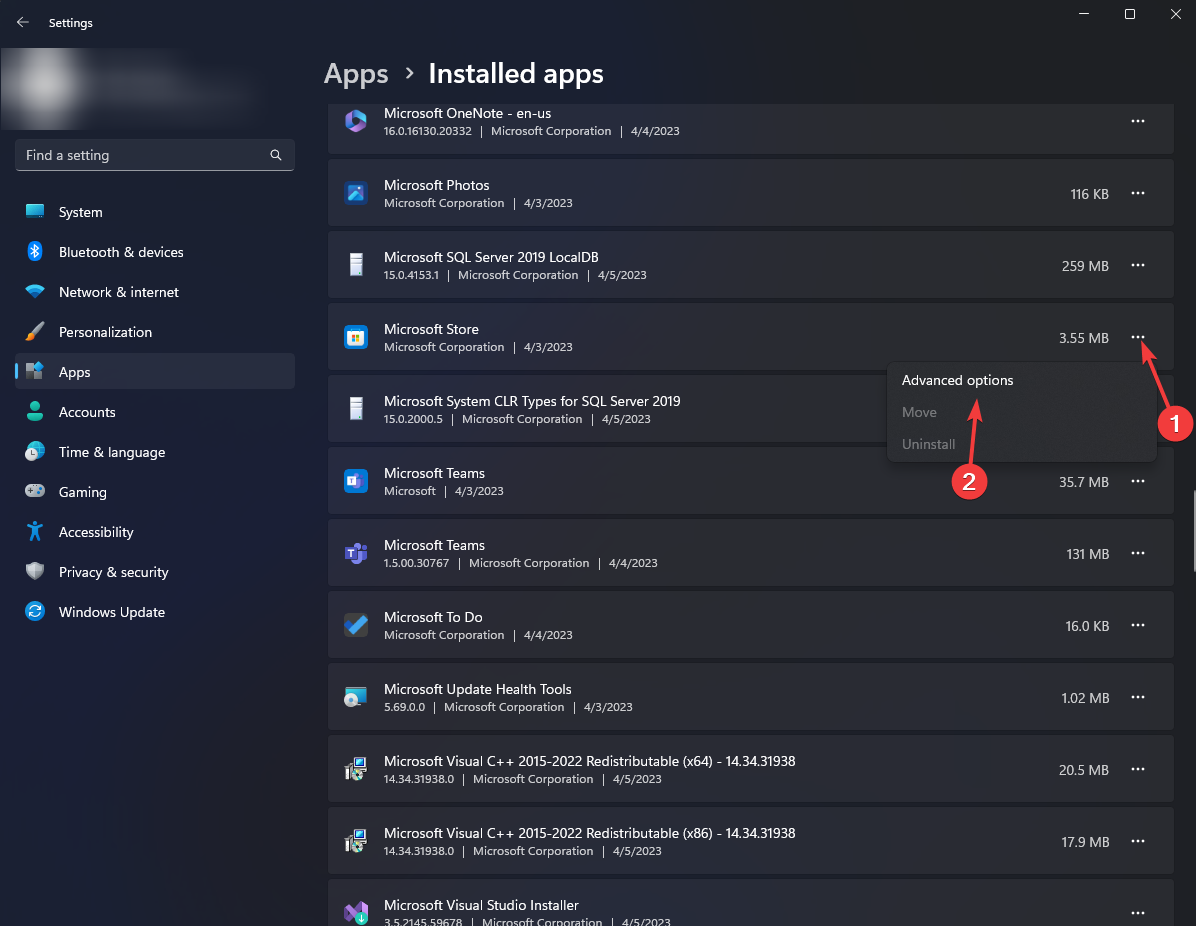 Microsoft Store — дополнительные параметры