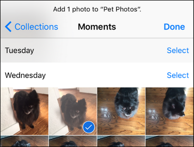 Выбор фотографий в рулоне: отметка выбора на миниатюре