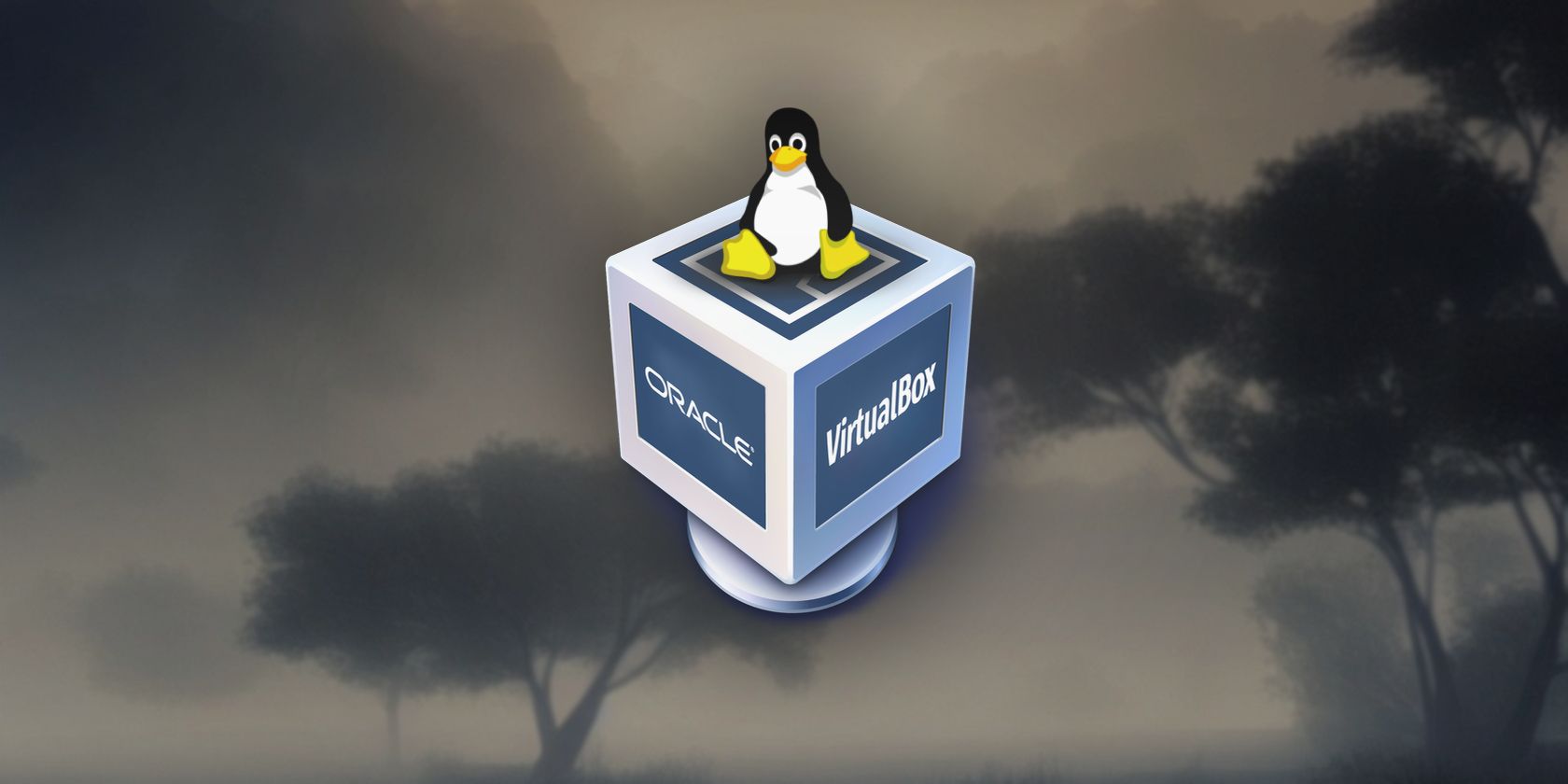 VirtualBox Guest Additions на Linux — установка и удаление