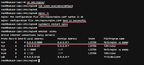 Конфигурация nginx для прослушивания на порту 8080
