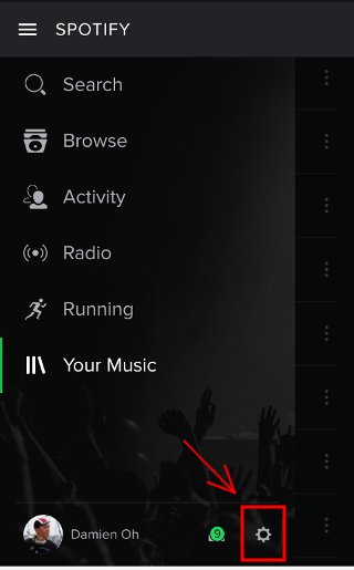 Приложение Spotify для Android — экран настроек
