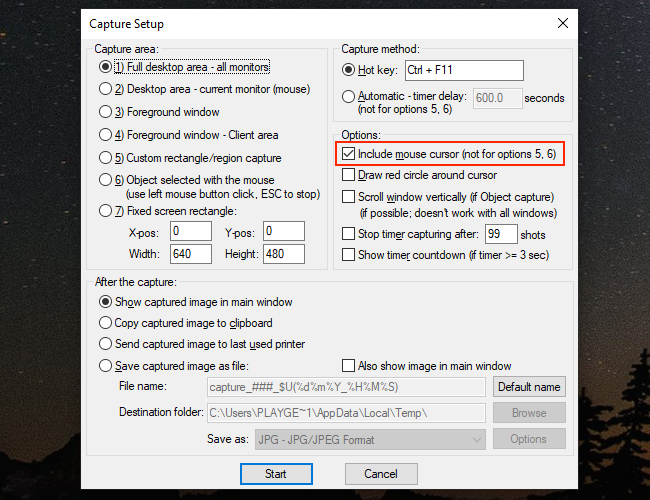 Окно Capture Setup в IrfanView с опцией включения курсора