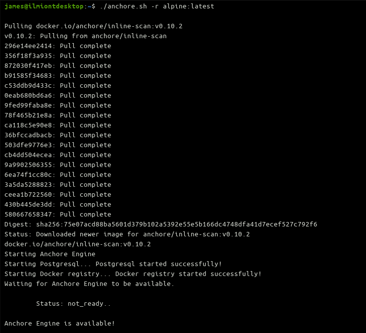 Скриншот: подготовка inline-скрипта Anchore