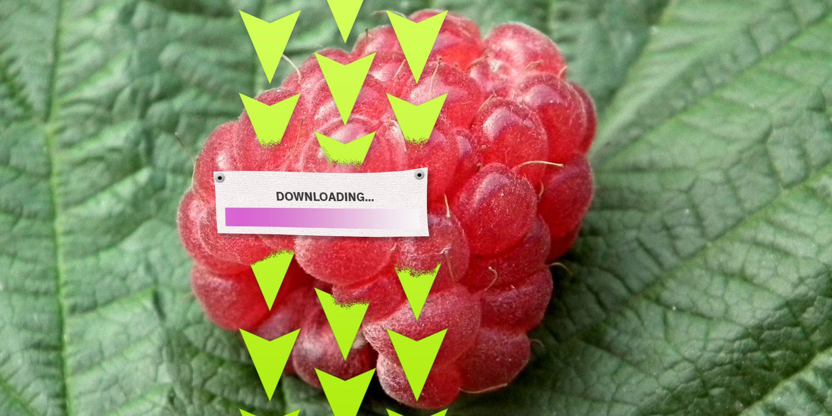 Raspberry Pi: энергосберегающий торрент-сервер