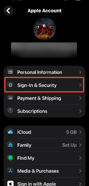 Вход и безопасность в iPhone
