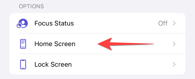 Раздел Параметры с пунктом Домашний экран.