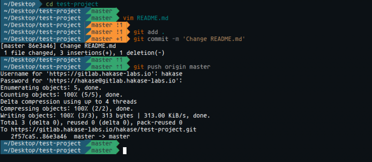 git push origin master