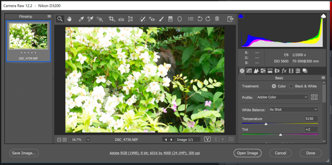Панель опций Camera Raw в Photoshop