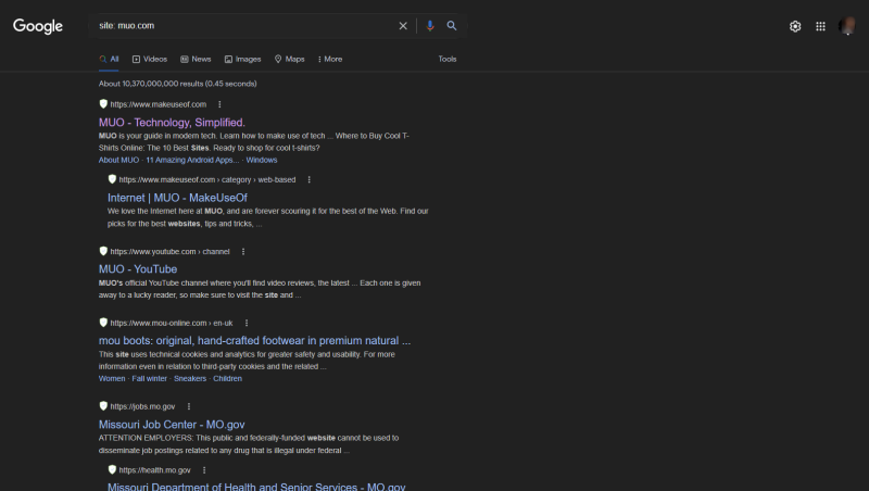 Поисковая выдача Google с точным URL для сайта
