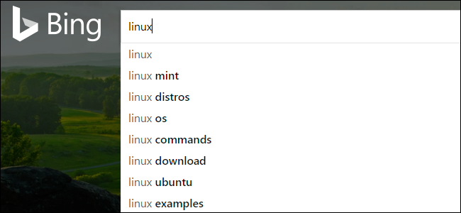 Как удалить историю поиска Bing и данные Microsoft