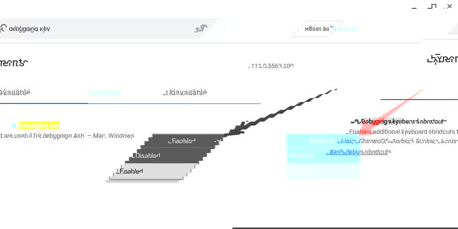 Включение флага «Debugging keyboard shortcuts»