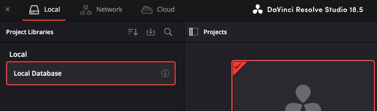Project Manager с вкладкой Local Database