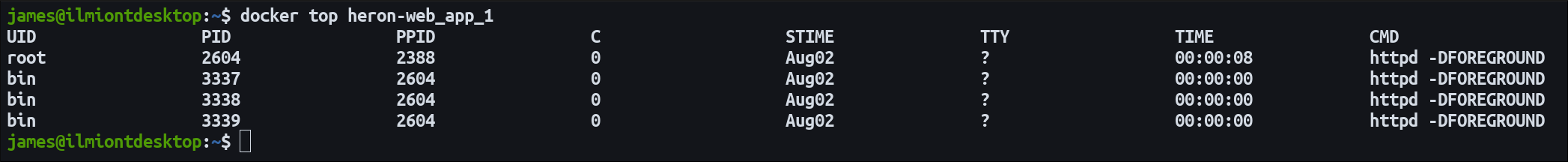 Скриншот команды docker top, показывающей список процессов контейнера