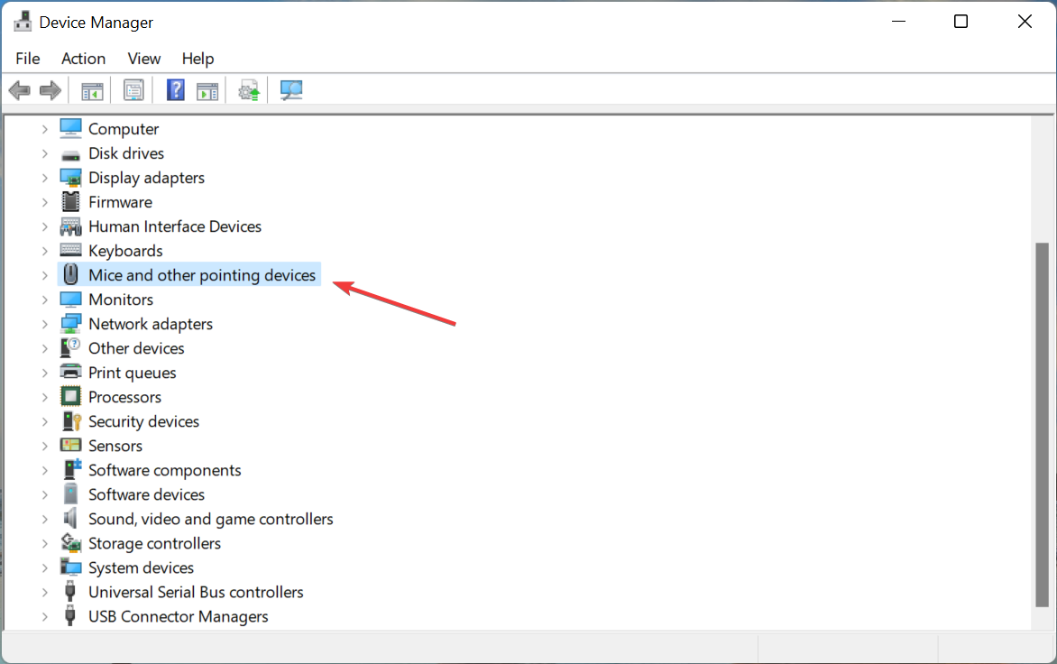 Пункт Мыши и другие указывающие устройства в Диспетчере устройств