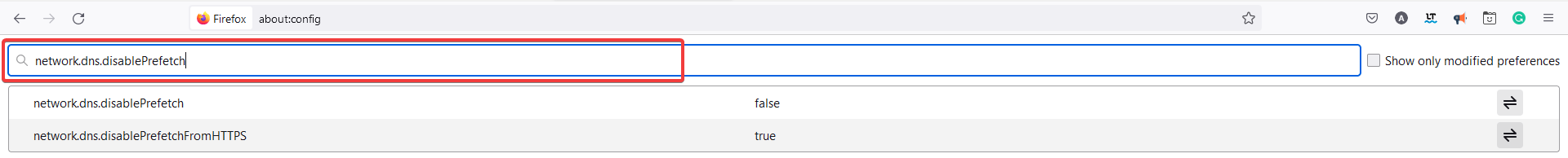 Поиск параметра network.dns.disablePrefetch