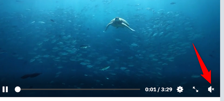 Select the speaker icon.