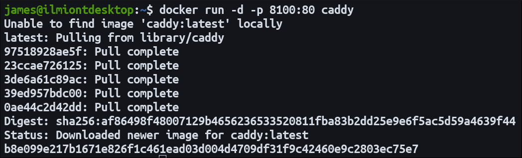 Запуск контейнера Caddy в Docker — скриншот команды