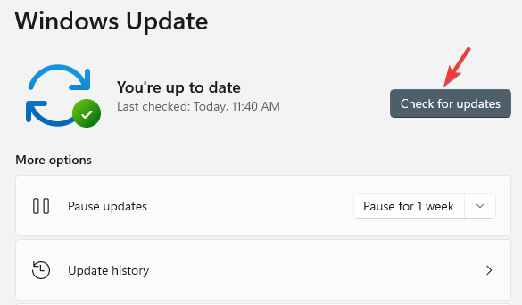 Кнопка «Проверить наличие обновлений» в Windows 11